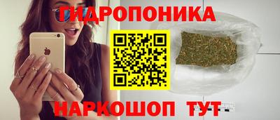 прущие крисы Будённовск