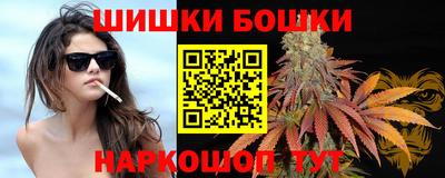 прущие крисы Будённовск