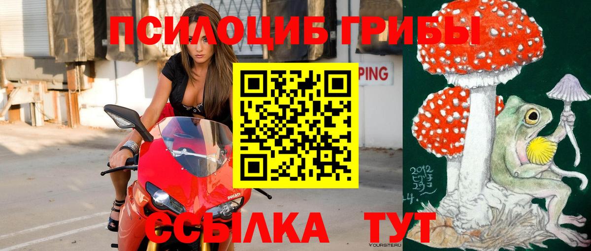 Туапсе  Псилоцибиновые грибы прущие грибы  Вход с VPN 
