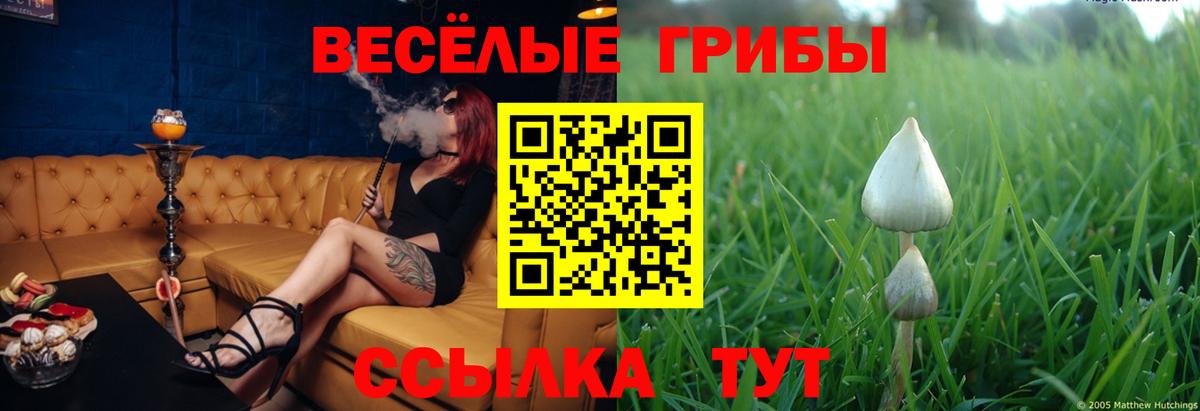 Псилоцибиновые грибы прущие грибы Туапсе
